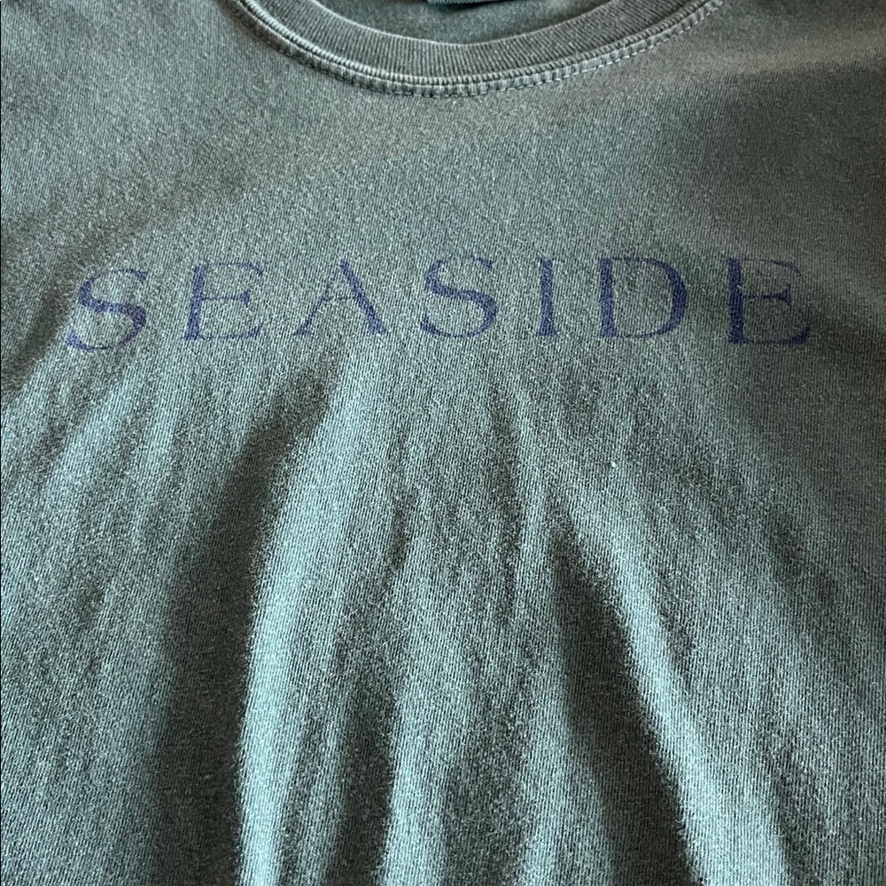 Comfort Colors Long Sleeve Tee in Dusky Teal with Navy Text